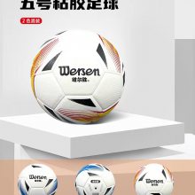 贺州平桂学校体育用品篮球足球气排球起跑器