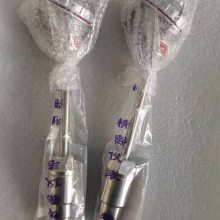 WZP231 铠装热电阻 DN50插入式pt100螺纹 装配式热电偶