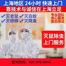 上海 闵行区除虫除白蚁灭蚂蚁杀潮虫臭虫 食品厂灭虫灭鼠见效快