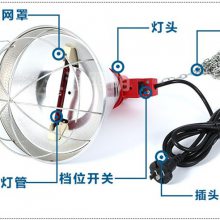 籣µ-ֳֳ-(鿴)