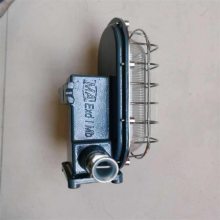 研发DGC18/127L(A) 三乐照明煤安证 矿用支架灯