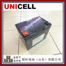 UNICELLTLA121000KLUPSӦԴϵͳ12V-100Ah