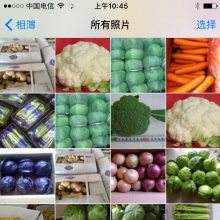 青岛阳光农庄果蔬有限公司