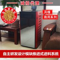 新款节能颗粒取暖炉 智能真火生物质颗粒采暖炉