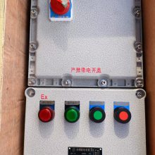 BXS8030-2/32防爆防腐电源插座箱 防爆检修插座箱 防爆插座检修配电箱