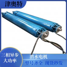井下水潜水电机 常温 抗灾排水 复矿取水 规格参数 奥特泵业