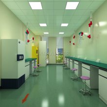 实验室装修与设计报价单 医院实验室装修定做 深圳武汉实验室通风柜