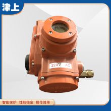 角行程手电两用翻板阀驱动头 伯纳德 AGS-600 ADR-600 BR-600