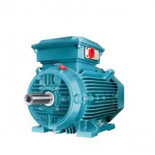 YE5ϵй1 ***Ʒ ܵ YE5-90S-2/1.5KW 380V/660V B3/B5/B35/V1 SKF Ƶʹ