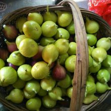 ޻硢ɫ޻硢ɫ޻