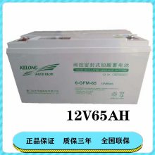 科华技术电池 高能效低损耗 6-GFM-24 12V/24AH 铅酸免维护