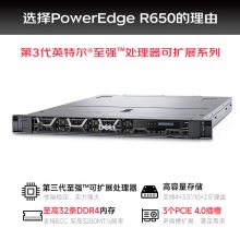  DELL PowerEdge R650˫·1UʽERPܴ洢