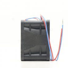 424J/2HPU ¹ebmpapstͷ ѡ