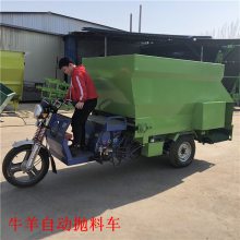 ݵ綯ϳ ţιϳ ιţԶϳ