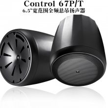 JBL Control 65PT ʽ컨װ