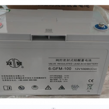 ˫Ǧ6-GFM-100 12V100AH (C10)