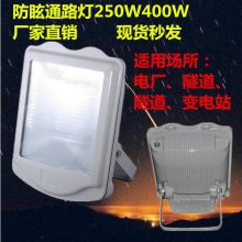 华荣GT302防眩照明路灯 变电站隧道工程灯250W400W