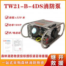 手电一体卧式抽水泵TW21-B-4DS森林消防泵双级不锈钢输水泵