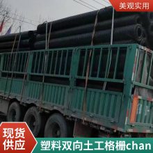HDPE单向拉伸塑料土工格栅 路基挡土墙加固用 世杰 PP单向格栅