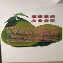 ں챦ʯ Ѻ챦ʯ繩Ӧ