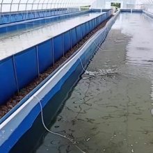 养殖帆布池大型养虾帆布池子帆布鱼池设计刀刮布养殖箱