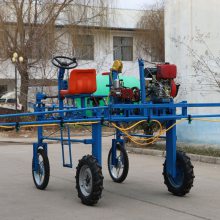 三轮乘坐式打药机 果园高压打药机 12马力柴油电启动打药机厂家