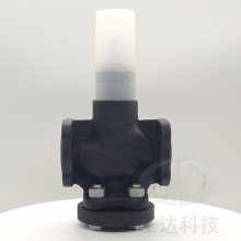 VXF53.125-250綯ͨ