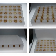 为什么蛋托要用EPE珍珠棉