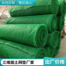 咸宁世杰EM4 EM3三维植被网 护坡固土网垫 抗冲刷 加筋防护