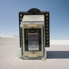 Լɪ м̵ DZJ-205G AC220V С