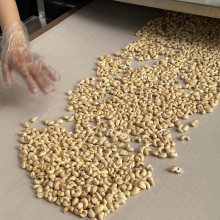腰果微波熟化设备 坚果微波烘干设备 科尔微波设备厂家