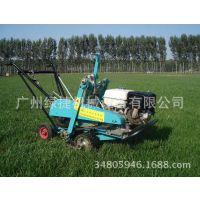JQ350ԶƤͶƺֲά޿