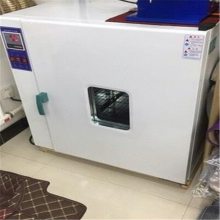 电热恒温鼓风干燥箱 实验室工业用小型高温烘箱 真空老化烘干机烤箱