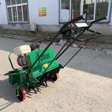 手推式草坪打孔机 人造草场透气钻孔机 草地维护设备
