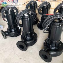 防缠绕潜水排污泵 WQR65-15-5.5污水处理杂质泵 工作原理