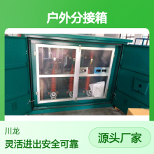 35KV电缆分支箱铜排式DFW-40.5/630A户外分接箱一二进二三四五出