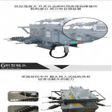 ZWF20-12,ZW20-12F,ZW20AF-12户外看门狗分界开关断路器