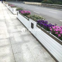뻨侰 ̻|͡