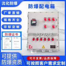 钢板焊接防爆配电箱 IIC级电气控制柜 非标定制照明动力配电箱