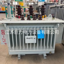10KV三相 非晶合金SBH15-100KVA油浸式变压器 SBH15非晶合金变压器厂家