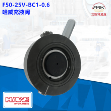 Hawe F50-25V-BC1-0.6 Һy