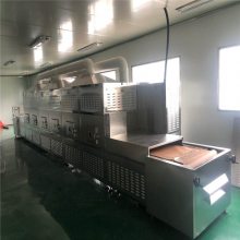 陕西红枣微波杀菌设备 红枣灭菌设备流水线低温杀虫机