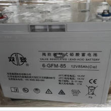 ˫ ܱʽǦ 6-GFM-85 (C20)