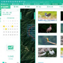野外长期调查生物多样性保护监管平台 AI物种识别数据统计分析