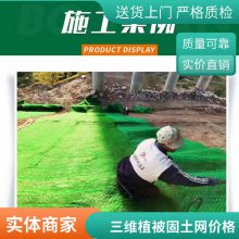 广东世杰三维复合排水网 抗拉强度高 化学性能与物理性能稳定