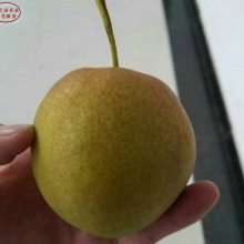 硢¶硢ֲʱ