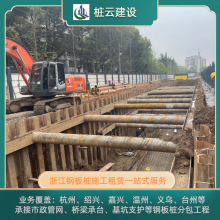 临海钢板桩选择桩云建设 技术成熟 承接大小工程 TD1967