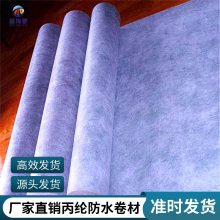 聚乙烯丙纶防水卷材 海驰防水 涤纶高分子复合卷材 300g400克 TS丙纶布SBC