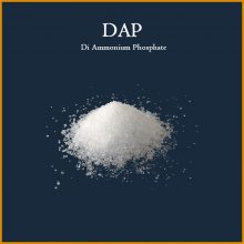 REACH֤ѾƷרDAP
