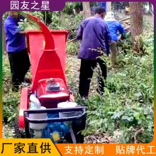 ԰֮ YUANYOU STAR ʽ ˮ ƶ֦3ZQ-10CD
